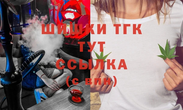бошки Каменка