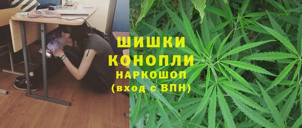 бошки Каменка