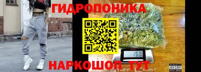 Альфа ПВП Новокубанск