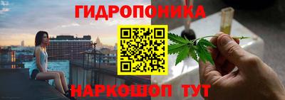 ПСИЛОЦИБИНОВЫЕ ГРИБЫ Новодвинск