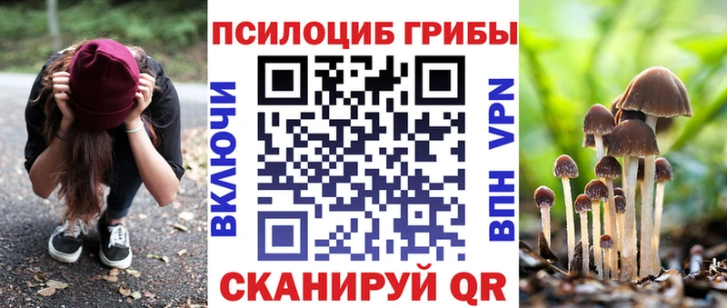 mega зеркало Махачкала Псилоцибиновые грибы Psilocybine cubensis